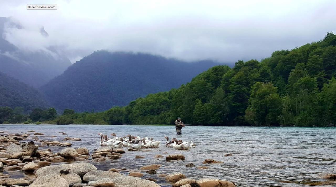 Cabanas Nutrias Patagonicas Puelo River Экстерьер фото